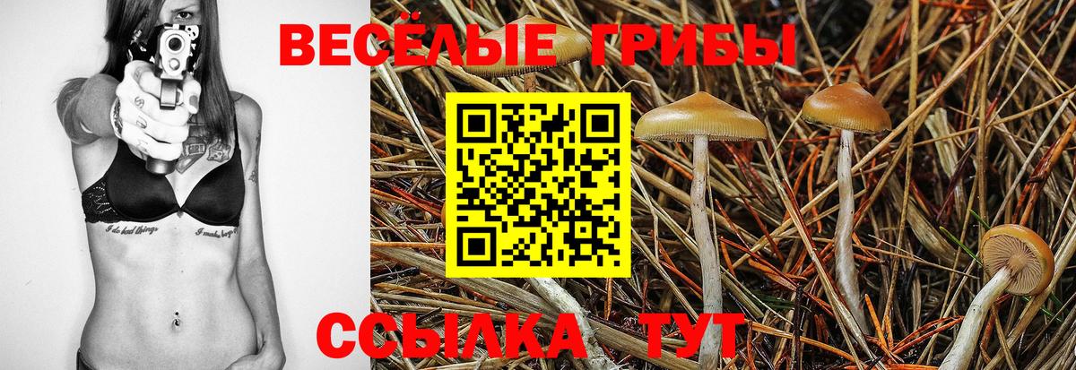 Галлюциногенные грибы прущие грибы  Вход с VPN  Алатырь 
