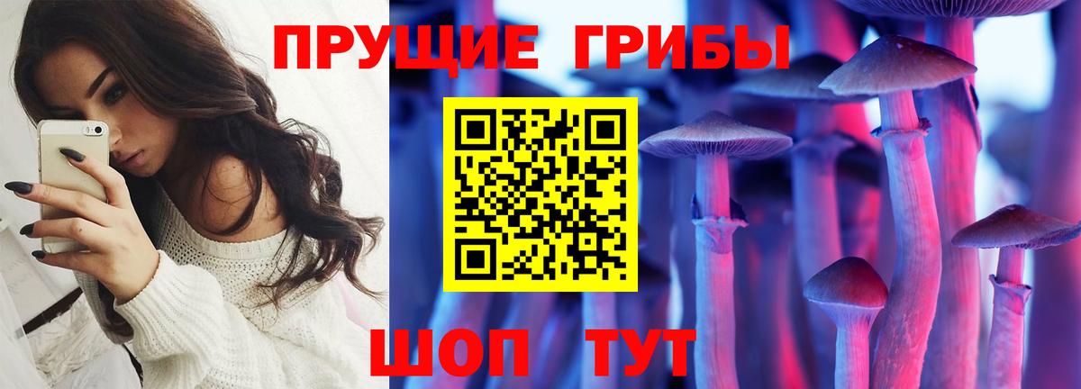 Псилоцибиновые грибы мицелий Алатырь